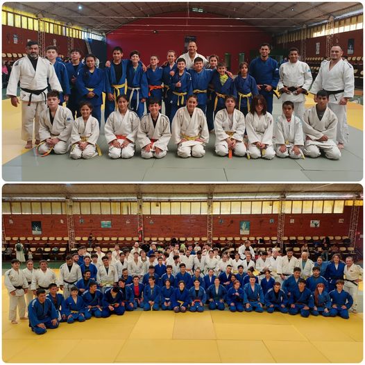 Más de 100 judokas presentes en el Campamento de Randori organizado por el Club de Judo Rio Cruces de Valdivia